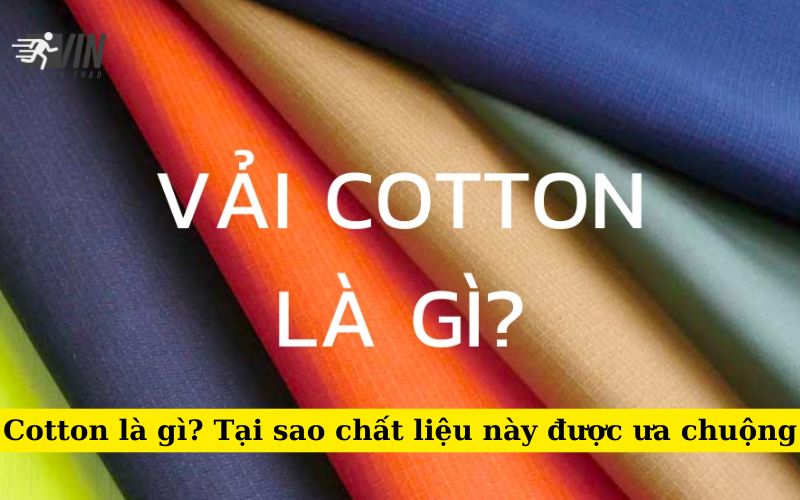 Cotton là gì Tại sao chất liệu này được ưa chuộng