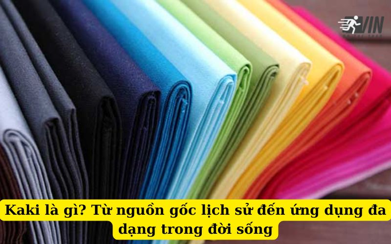 Kaki là gì Từ nguồn gốc lịch sử đến ứng dụng đa dạng trong đời sống